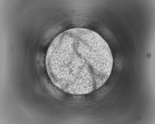 X0000111681346200908281125