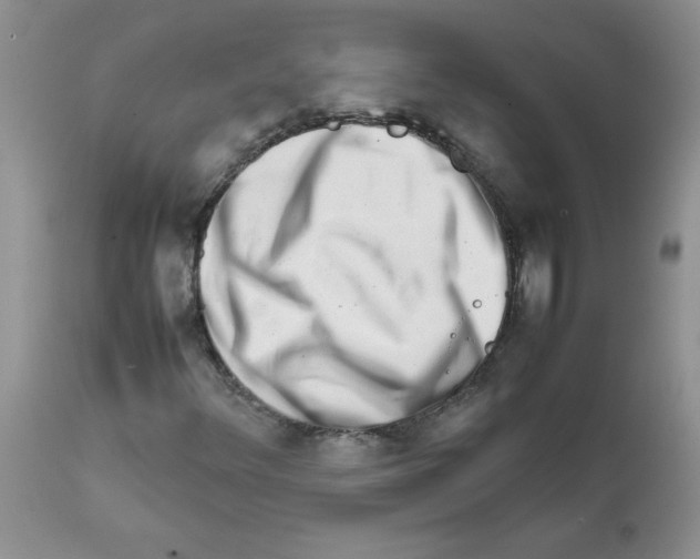 X0000111681348200908281125