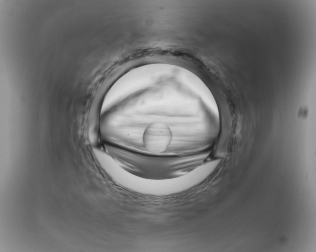 X0000111681349200908281125