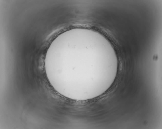 X0000111681350200908281125