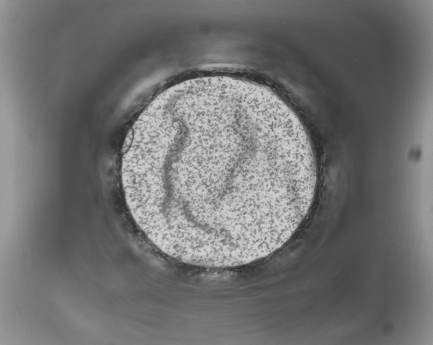 X0000111681351200908281125