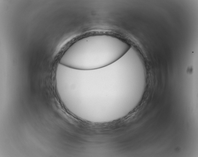 X0000111681352200908281125