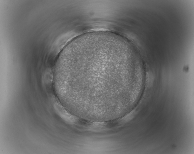 X0000111681353200908281125