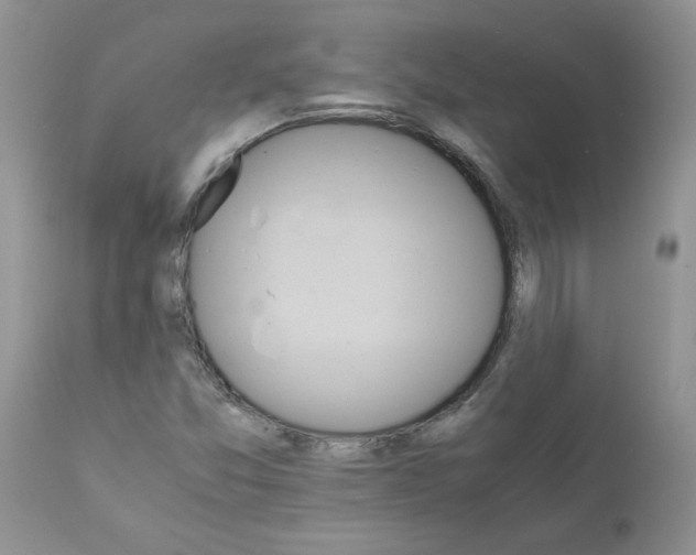 X0000111681357200908281125