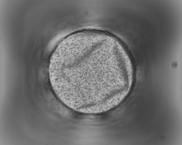 X0000111681359200908281125