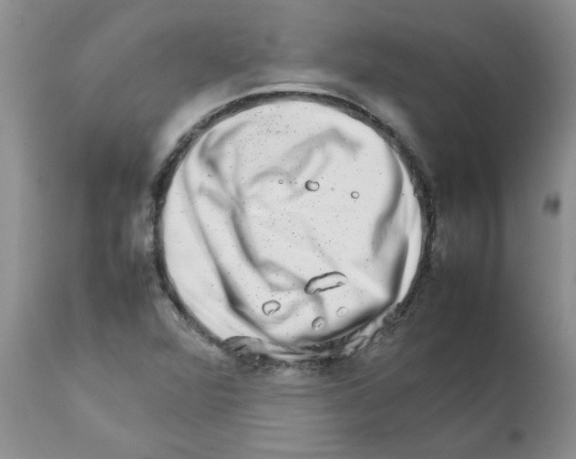 X0000111681360200908281125