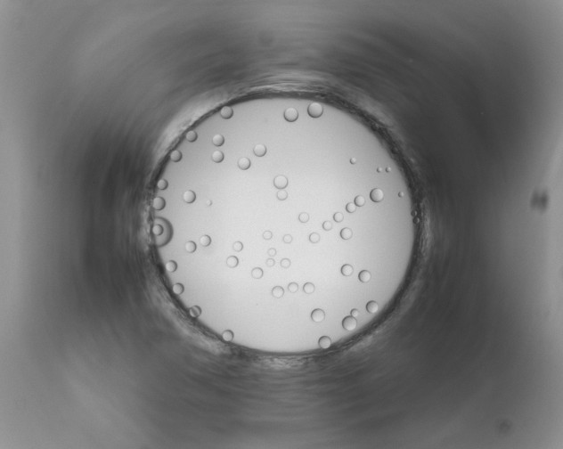 X0000111681362200908281125