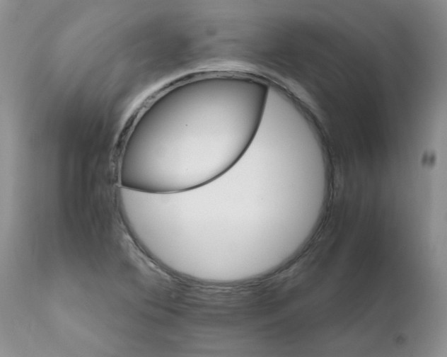 X0000111681364200908281125