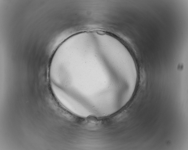 X0000111681365200908281125