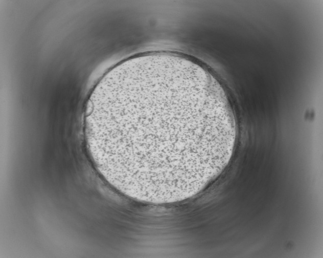 X0000111681366200908281125