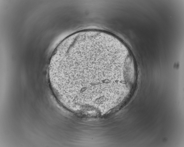 X0000111681367200908281125