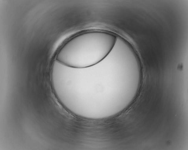 X0000111681368200908281125