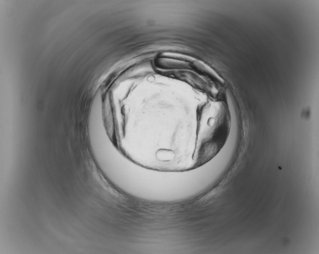 X0000111681369200908281125