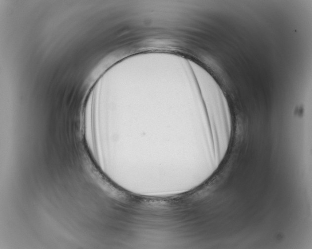 X0000111681370200908281125