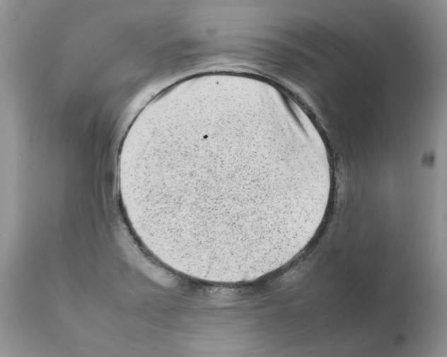 X0000111681371200908281125