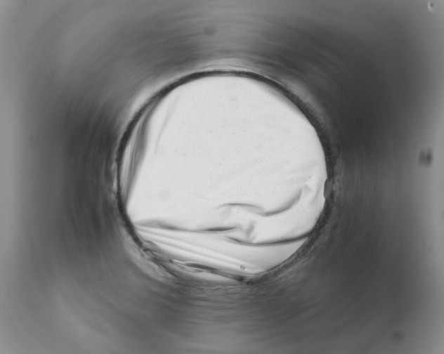 X0000111681372200908281125