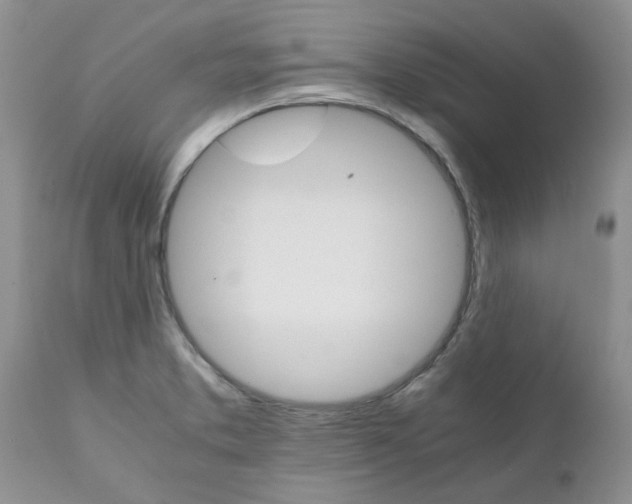 X0000111681373200908281125