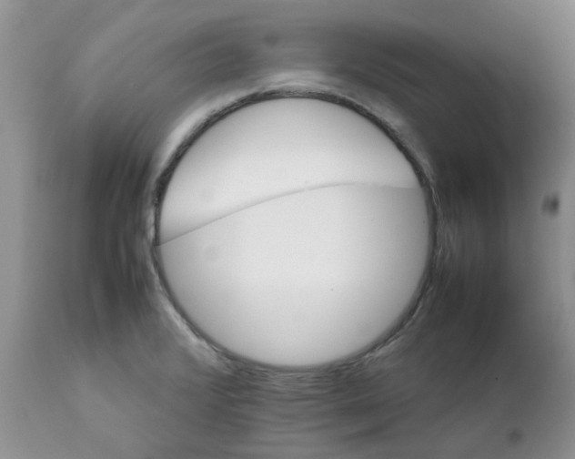 X0000111681376200908281125