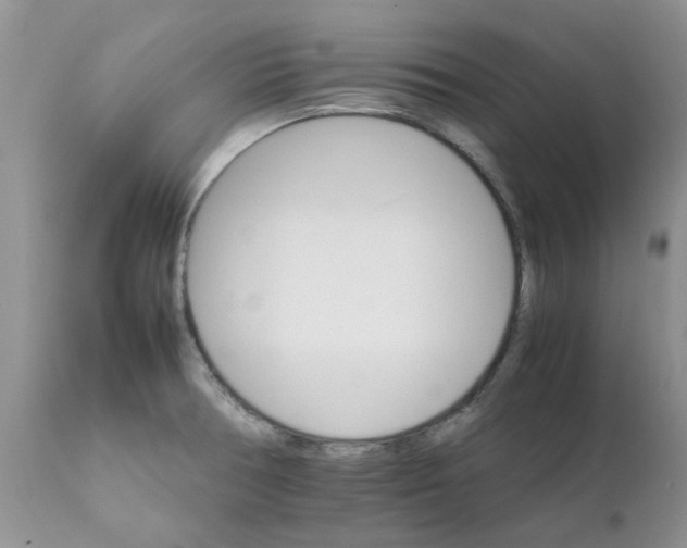 X0000111681378200908281125