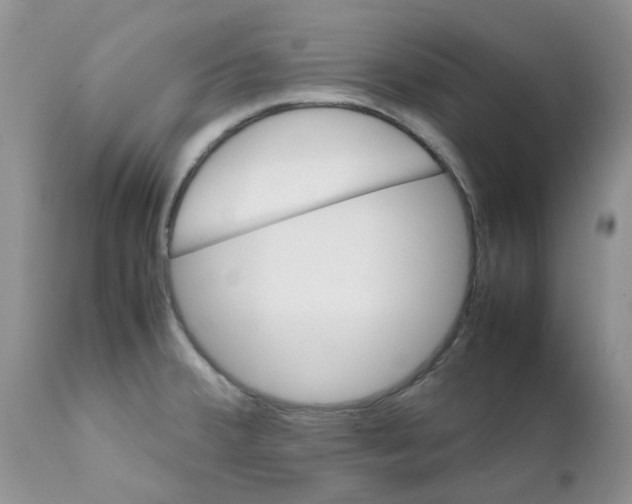 X0000111681380200908281125