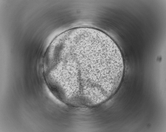 X0000111681382200908281125