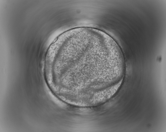 X0000111681383200908281125