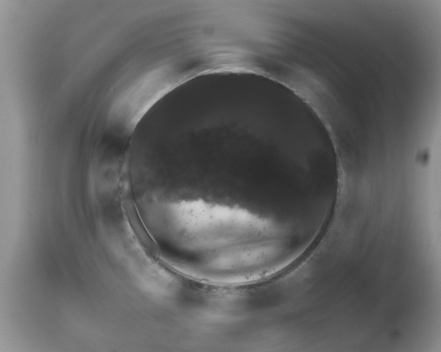 X0000111681385200908281125