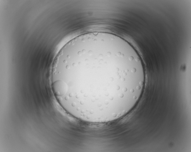 X0000111681386200908281125