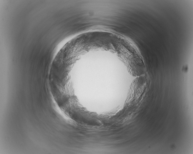 X0000111681387200908281125