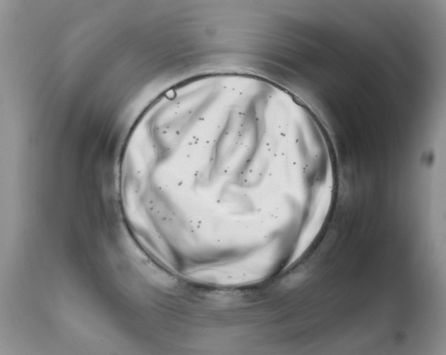 X0000111681388200908281125