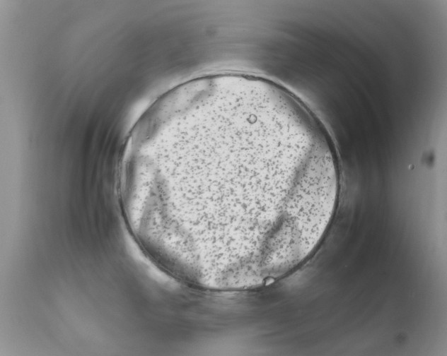 X0000111681390200908281125