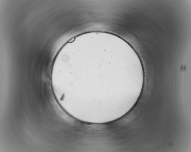 X0000111681392200908281125