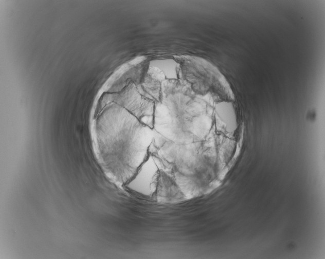 X0000111681393200908281124