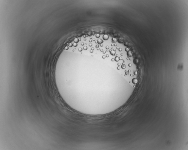 X0000111681394200908281124