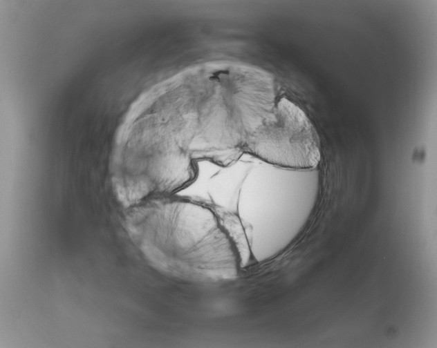 X0000111681397200908281124