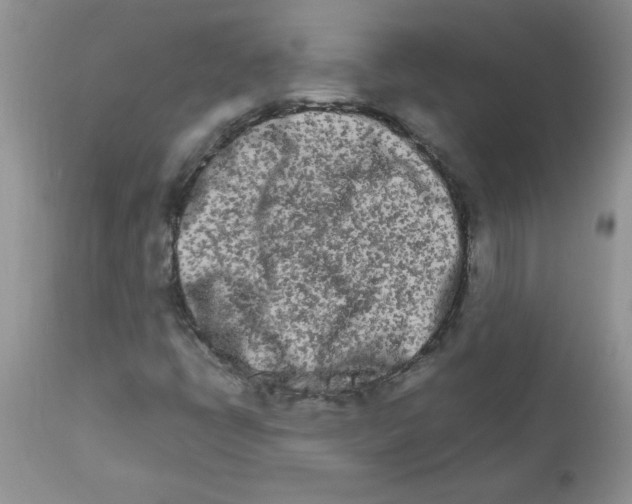 X0000111681398200908281124