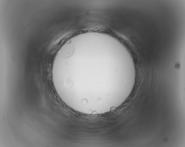 X0000111681399200908281124