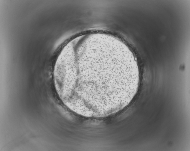 X0000111681400200908281124