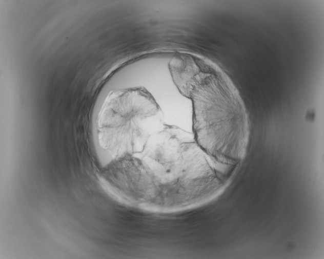 X0000111681401200908281124