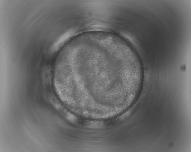 X0000111681403200908281124