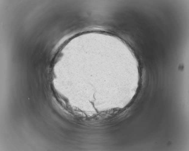 X0000111681404200908281124