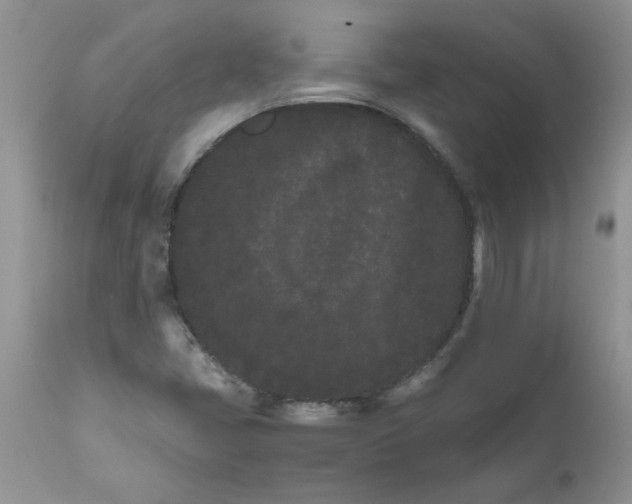 X0000111681405200908281124