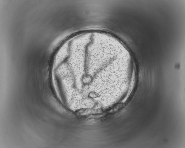 X0000111681406200908281124