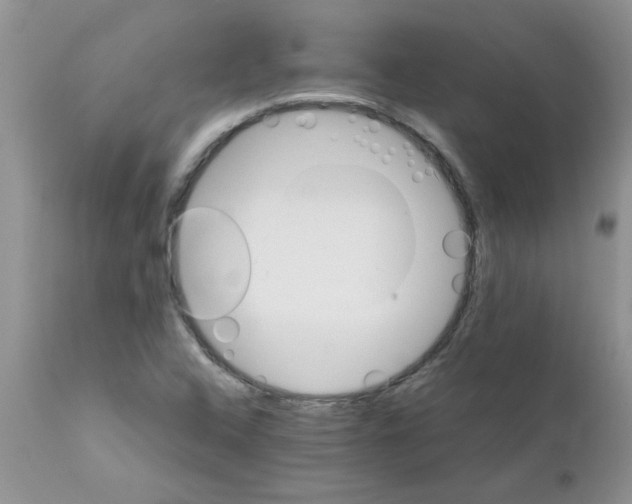 X0000111681408200908281124