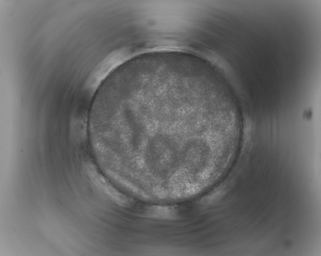 X0000111681409200908281124