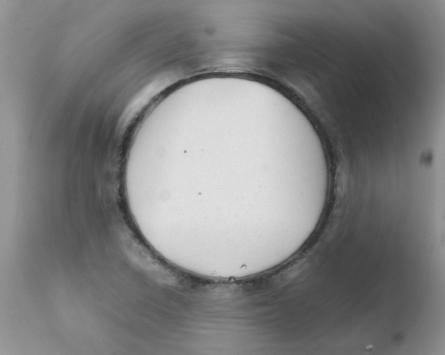 X0000111681410200908281124