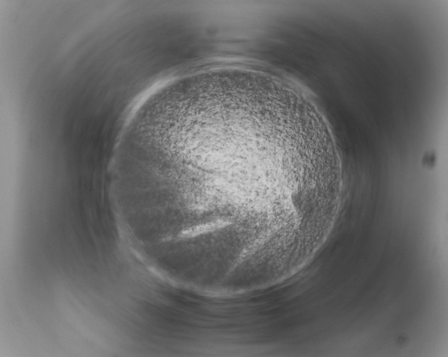 X0000111681411200908281124