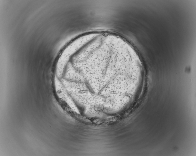 X0000111681412200908281124