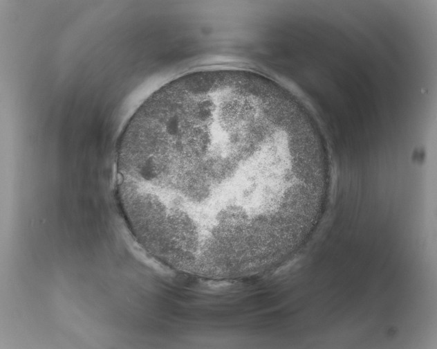 X0000111681413200908281124