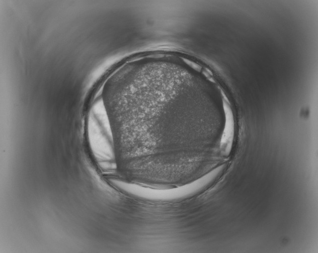 X0000111681414200908281124